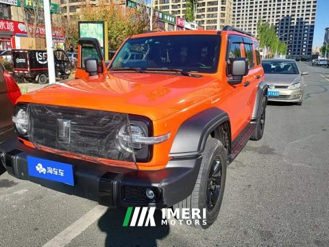 2022 Tank 300 Off-Road Edition 2.0T Conqueror - ავტომობილი ჩინეთიდან