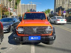 Tank 300 Off-Road Edition 2.0T Conqueror - ფოტო 2