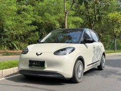Wuling Binguo 333km Lingxi Connected Edition - ფოტო 1