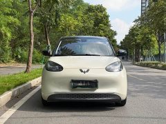 Wuling Binguo 333km Lingxi Connected Edition - ფოტო 4