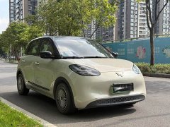 Wuling Binguo 333km Lingxi Connected Edition - ფოტო 5