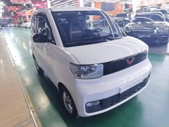 Wuling Hongguang MINIEV Deluxe Edition LFP Battery - photo 3
