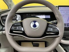 Denza D9 DM-i 970 AWD Premium Edition - ფოტო 16