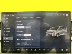 Denza D9 DM-i 970 AWD Premium Edition - ფოტო 17