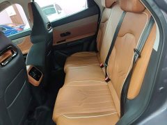 Jetour Jietu Dasheng 1.5TD DCT Flagship Edition - фото 16