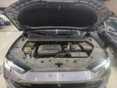 Jetour Jietu Dasheng 1.5TD DCT Flagship Edition - фото 19
