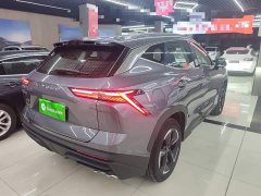Jetour Jietu Dasheng 1.5TD DCT Flagship Edition - фото 6