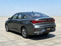 Changan Eado Enjoy Plus Blue Whale NE 1.4T GDI DCT Luxury Edition - photo 9