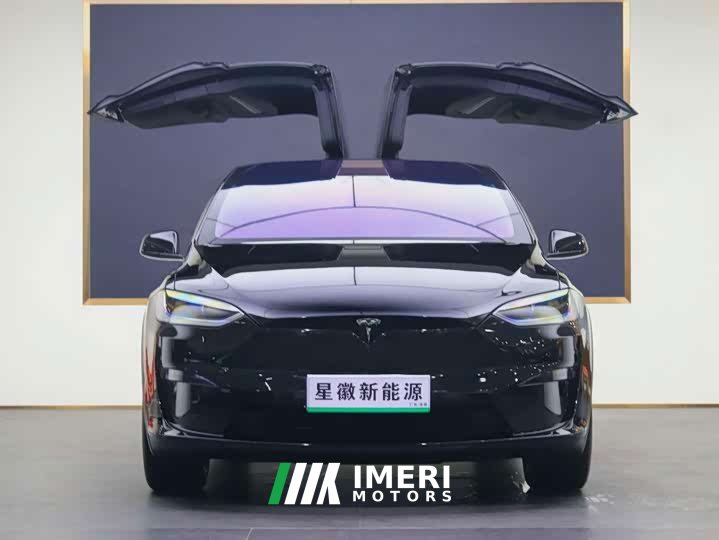 Tesla Model X Dual Motor All-Wheel Drive - ავტომობილი ჩინეთიდან