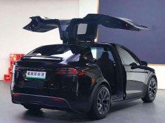 Tesla Model X Dual Motor All-Wheel Drive - ფოტო 16