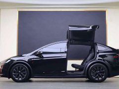 Tesla Model X Dual Motor All-Wheel Drive - ფოტო 20