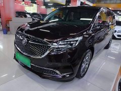 Buick GL8 Avenir Six-Seat Wisdom Courtesy Edition - photo 1