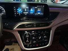Buick GL8 Avenir Six-Seat Wisdom Courtesy Edition - photo 12