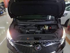 Buick GL8 Avenir Six-Seat Wisdom Courtesy Edition - photo 19
