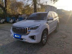 Haval H9 2.0T Gasoline 4WD Premium 5-Seater - photo 1