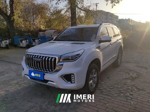2023 Haval H9 2.0T Gasoline 4WD Premium 5-Seater - ავტომობილი ჩინეთიდან