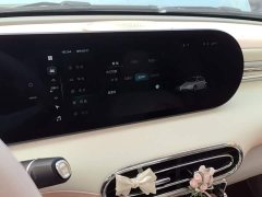 Ora Ballet Cat 401km Nutcracker Edition - ფოტო 12