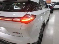 Neta U Nezha U-II Challenge Edition 500 UXiu Lithium iron phosphate - photo 7