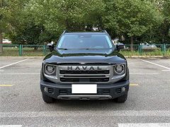 Great Wall Dachshund 1.5T DCT Border Collie Edition - photo 11