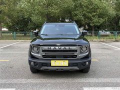 Great Wall Dachshund 1.5T DCT Border Collie Edition - photo 3