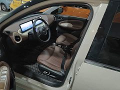 Wuling Binguo 410km Lingxi Premium Edition - ფოტო 14