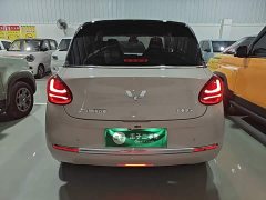 Wuling Binguo 410km Lingxi Premium Edition - ფოტო 5