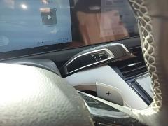 Maxus Interstellar H 2.0T Automatic Diesel Twin-Turbo AWD Luxury Long Wheelbase - ფოტო 13