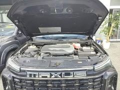 Maxus Interstellar H 2.0T Automatic Diesel Twin-Turbo AWD Luxury Long Wheelbase - ფოტო 19
