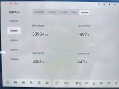 Li Auto L9 Max - ფოტო 16