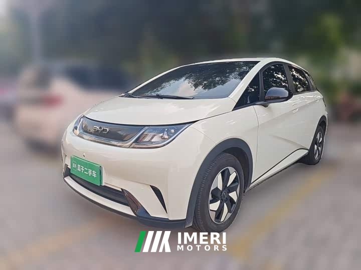 BYD Dolphin 420km Freedom Edition