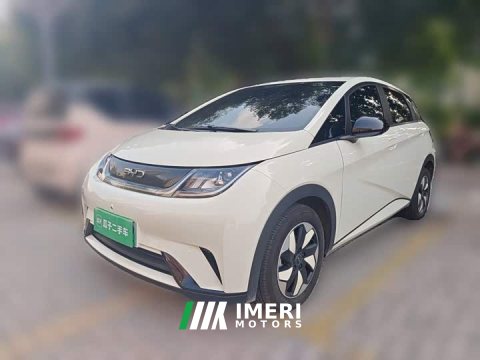 2026 BYD Dolphin 420km Freedom Edition - автомобиль из Китая