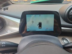 BYD Dolphin 420km Freedom Edition - ფოტო 3