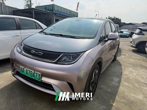 2022 BYD Dolphin 405km Fashion Edition - car from China