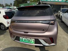 BYD Dolphin 405km Fashion Edition - photo 8