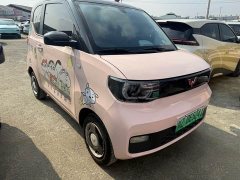 Wuling Hongguang MINIEV Macaron Fashion Edition LFP Battery - photo 3