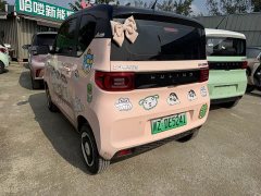 Wuling Hongguang MINIEV Macaron Fashion Edition LFP Battery - photo 5