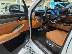 Tank 500 New Energy Hi4-Z Smart Comfort Edition - photo 15