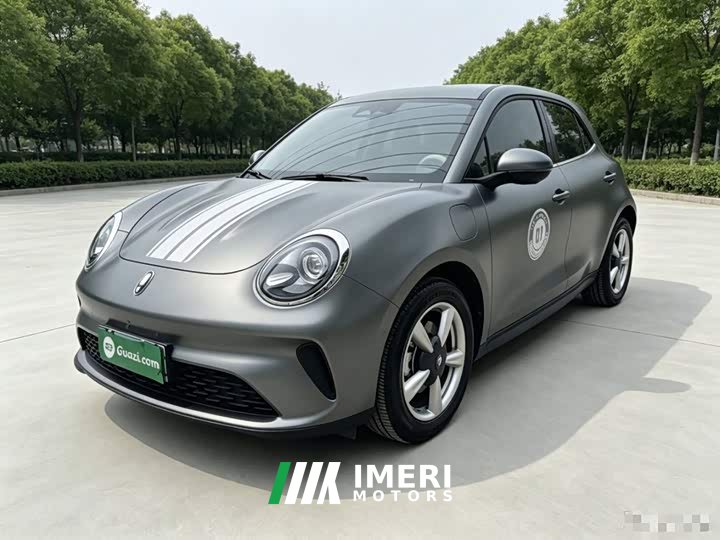 ORA Good Cat 430km Deluxe Edition - ავტომობილი ჩინეთიდან