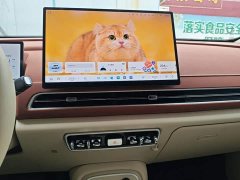 ORA Good Cat 430km Deluxe Edition - ფოტო 12