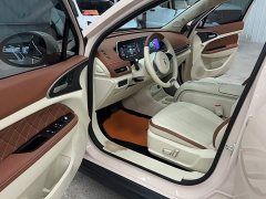 ORA Good Cat 401km Standard Range Deluxe Ternary Lithium - ფოტო 19