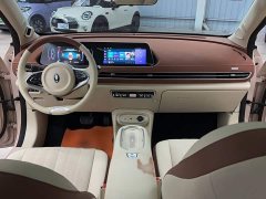 ORA Good Cat 401km Standard Range Deluxe Ternary Lithium - ფოტო 5