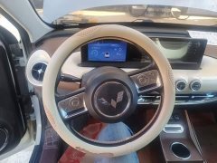 Wuling Binguo 203km Comfort Edition - ფოტო 10