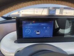 Wuling Binguo 203km Comfort Edition - ფოტო 11