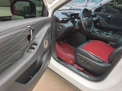 GAC AION V Aion Tyrannosaurus Family Edition 520 Smart Luxury Version - фото 15