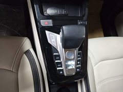 BYD Yuan Pro 401KM Luxury - ფოტო 13