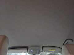 BYD Yuan Pro 401KM Luxury - ფოტო 17