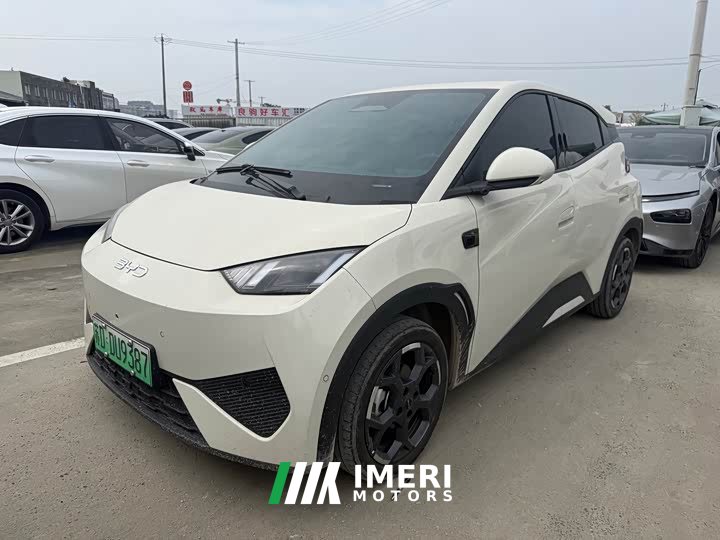 BYD Seagull Smart Driving Edition 305km Freedom Edition - ავტომობილი ჩინეთიდან