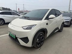 BYD Seagull Smart Driving Edition 305km Freedom Edition - ფოტო 1