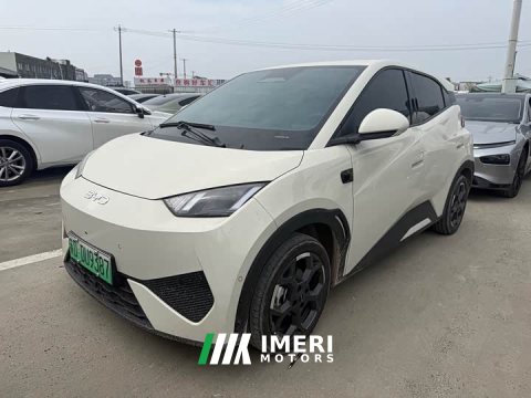 2025 BYD Seagull Smart Driving Edition 305km Freedom Edition - автомобиль из Китая