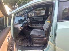 GAC AION Y 70 Smart Leader Edition LFP - photo 13